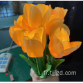 Lumière artificielle de tulipe
